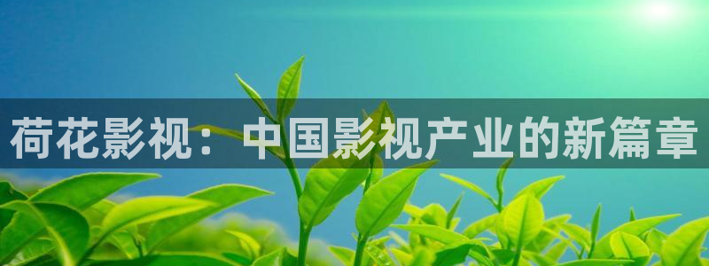 国产精东影业传媒精品国产av：荷花影视：中国影视产业的新篇章