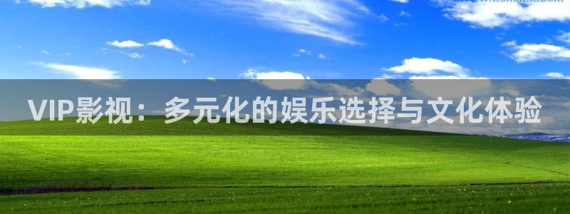 精东天美影业：VIP影视：多元化的娱乐选择与文化体验