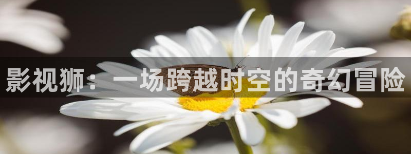 天美传媒麻豆精东影业：影视狮：一场跨越时空的奇幻冒险