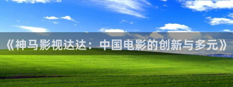 精东影业影视：《神马影视达达：中国电影的创新与多元》
