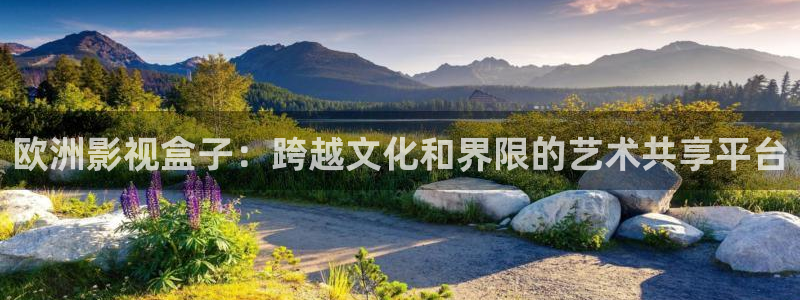 精东影业最新：欧洲影视盒子：跨越文化和界限的艺术共享平台