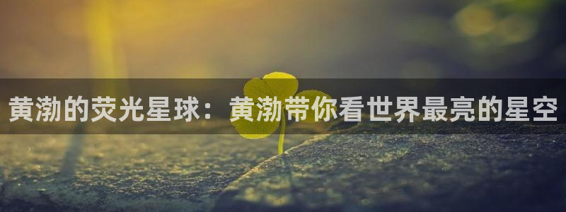 91制片精东传媒影业