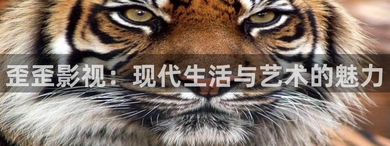 精东影业下载大全