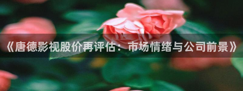 国产精品精东影业