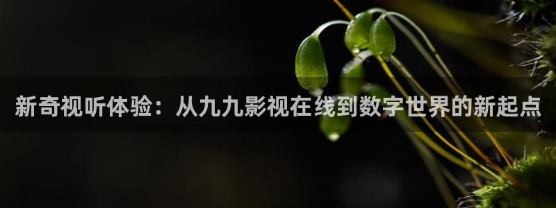 97精东影业人妻：新奇视听体验：从九九影视在线到数字世界的新起点