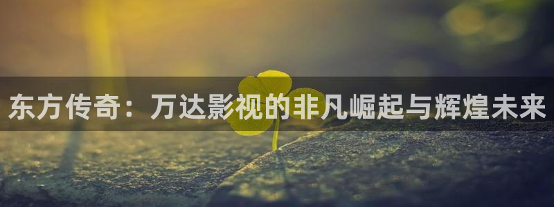 精东影业精一禾传媒影业：东方传奇：万达影视的非凡崛起与辉煌未来